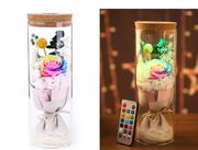 Rose LED Light by salelink.co.nz