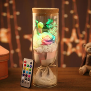 Rose LED Light by salelink.co.nz