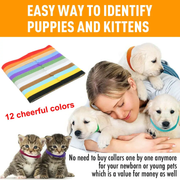 12 Colours Pet Whelping ID Collar Bands by salelink.co.nz