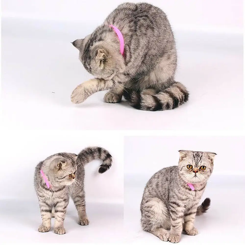 12 Colours Pet Whelping ID Collar Bands by salelink.co.nz