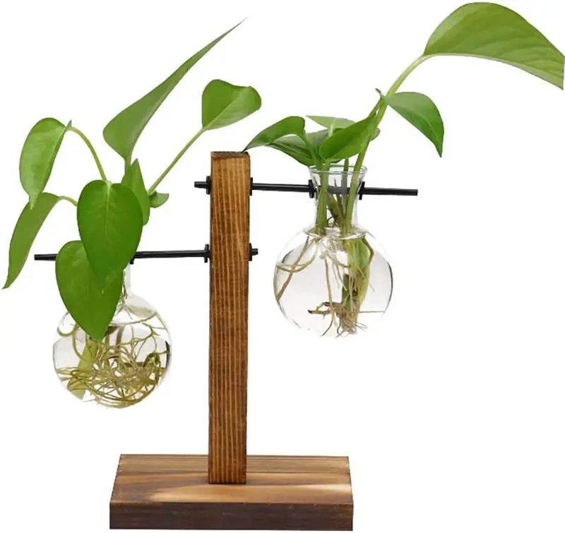Hydroponic Vase Wooden Stand Glass Bulb Plants Container by salelink.co.nz