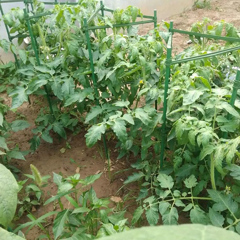 Plant Support Stake Tomato Cage by salelink.co.nz