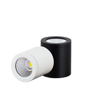 20W Downlight by salelink.co.nz