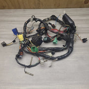 GSF250V Wiring loom by Motor Morgue