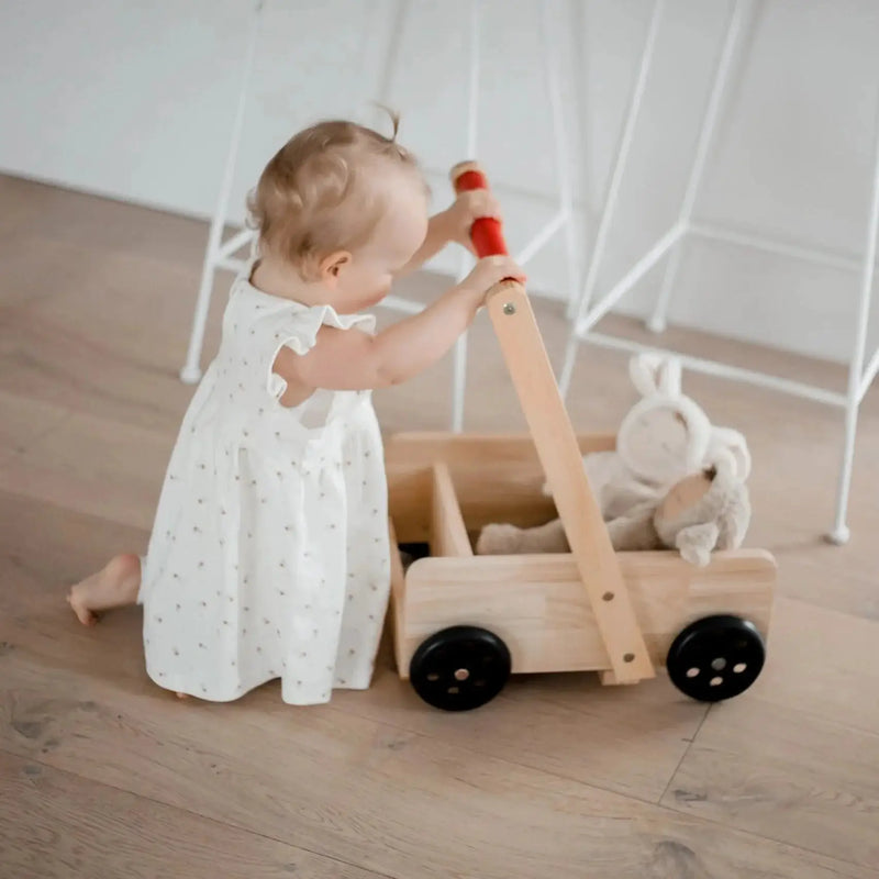 Wooden Classic Baby Walker - QToys | Wooden Toy NZ by Curious Moonbeam