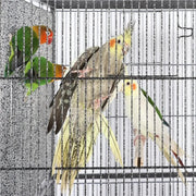 63’’H Large Parrot Cage w/ Stand Rolling Metal Pet Cage by Yaheetech
