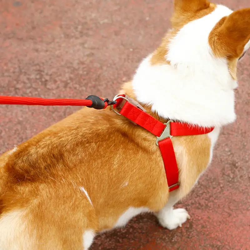 Dog Harness and leash Set Pet Harness Puppy Traction Rope - 2.5CM by dealonline.co.nz