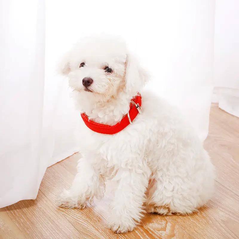 Nylon Dog Collar Multi Colours 4 * 70CM by dealonline.co.nz