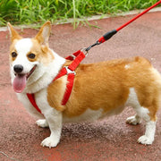 Dog Harness and leash Set Pet Harness Puppy Traction Rope - 2.5CM by dealonline.co.nz