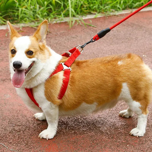 Dog Harness and leash Set Pet Harness Puppy Traction Rope - 2.5CM by dealonline.co.nz