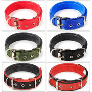Nylon Dog Collar Multi Colours 4 * 70CM by dealonline.co.nz