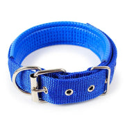 Nylon Dog Collar Multi Colours 4 * 70CM by dealonline.co.nz