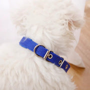 Nylon Dog Collar Multi Colours 4 * 70CM by dealonline.co.nz