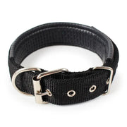 Nylon Dog Collar Multi Colours 4 * 70CM by dealonline.co.nz