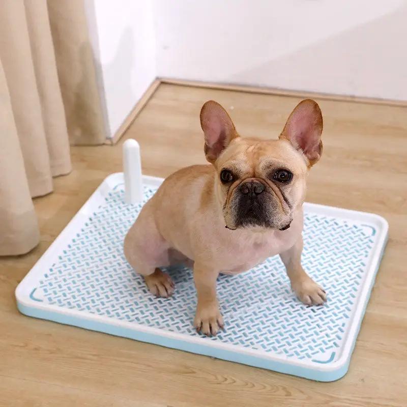 Dog Potty Tray Toilet Training Pads Holder Litter Box Pee Pad Holder by dealonline.co.nz