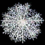30PCS 11cm White Snowflakes Decorations Christmas Tree Party Charms Christmas Decoration by salelink.co.nz