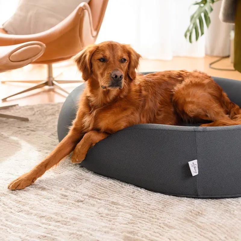 The Brooklyn Dog Beds Brooklyn® Nest Cooling Dog Bed (Orthopaedic Memory Foam) The Brooklyn Nest Cooling Dog Bed With Memory Foam