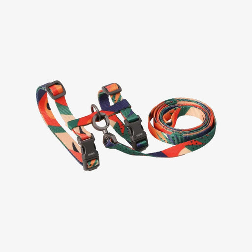 Pidan New Zealand Outing Pidan Cat Leash and Harness Set Adjustable H Style for Safe Walks Pidan Cat Leash And Harness Set H Style For Walks