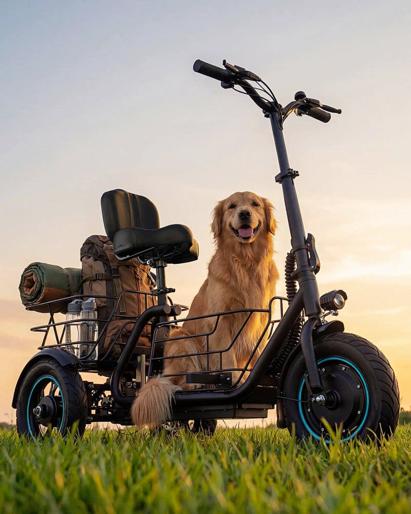 Kiwi eRide Kiwi eRide 3 Wheel Electric Scooter with Seat Gyroor C5 3 Wheel Electric Scooter with Seat Gyroor C5