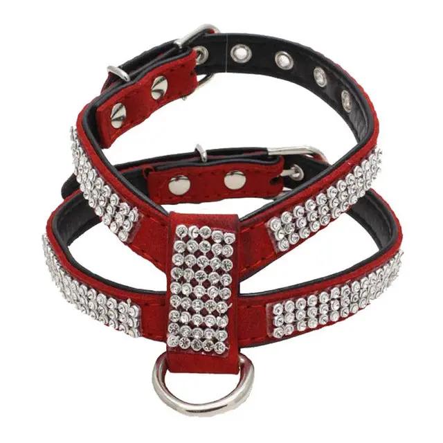 Dog Collar - M by salelink.co.nz