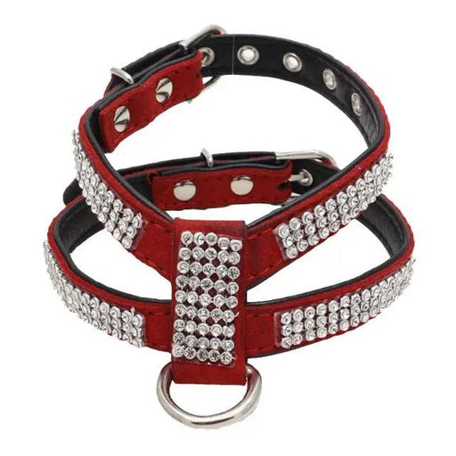 Dog Collar - S by salelink.co.nz