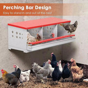 Chicken Nesting Box with 3 Holes by salelink.co.nz