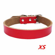 Dog Collar - XS by salelink.co.nz