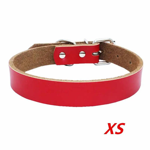 Dog Collar - XS by salelink.co.nz