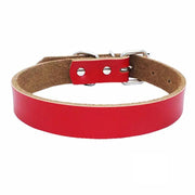 Dog Collar - XS by salelink.co.nz