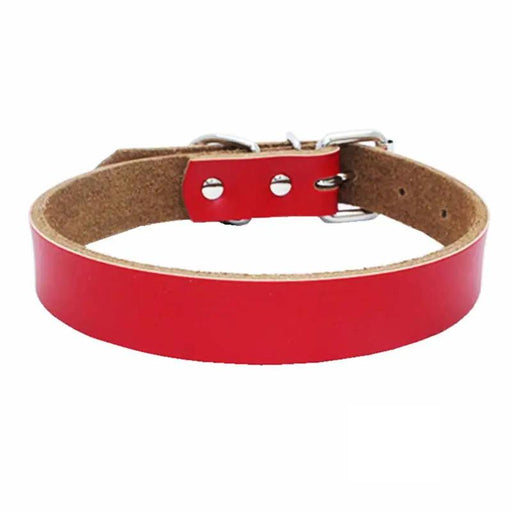 Dog Collar - XS by salelink.co.nz