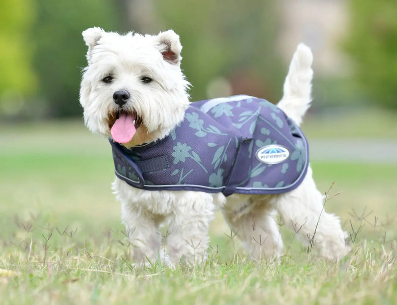 WeatherBeeta ComFiTec Premier Free Parka Dog Coat Medium by WeatherBeeta