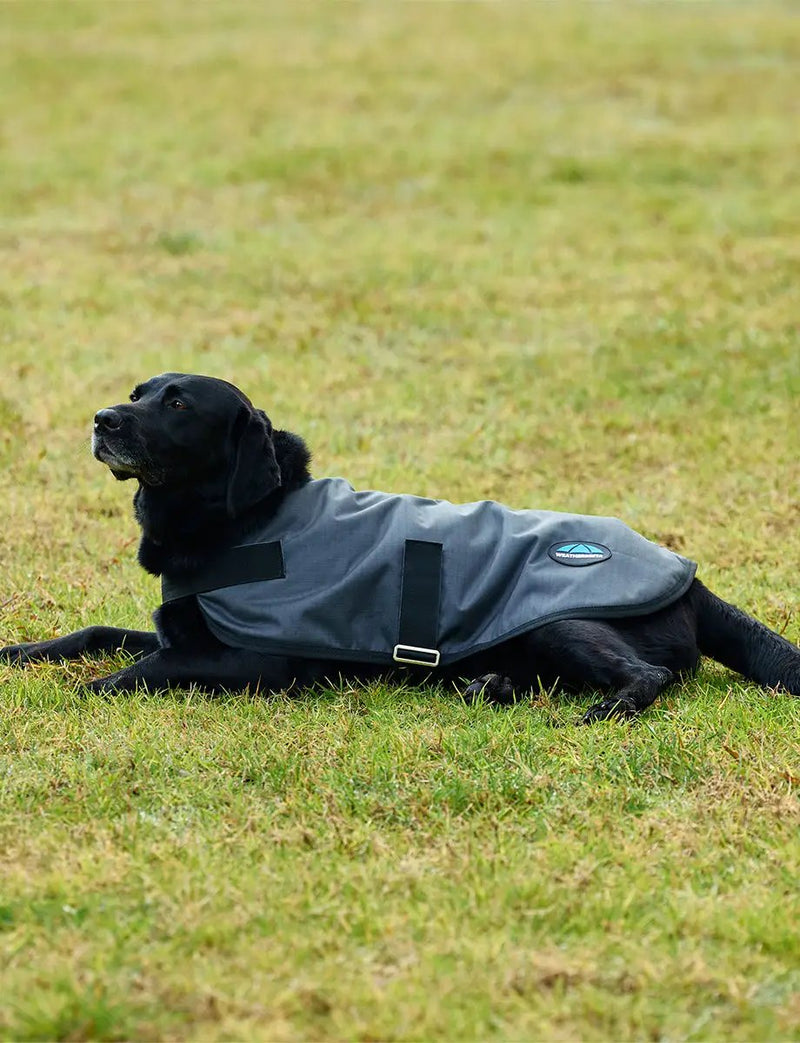 WeatherBeeta ComFiTec Classic Waterproof Dog Coat by WeatherBeeta