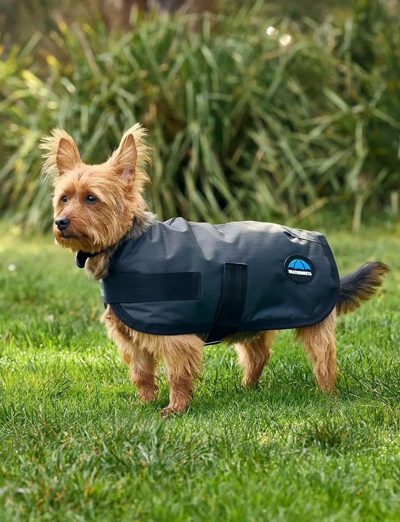 WeatherBeeta ComFiTec Classic Waterproof Dog Coat by WeatherBeeta