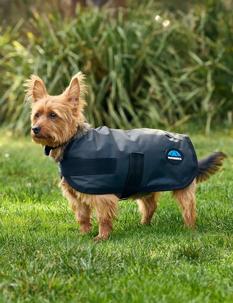 WeatherBeeta ComFiTec Classic Waterproof Dog Coat by WeatherBeeta