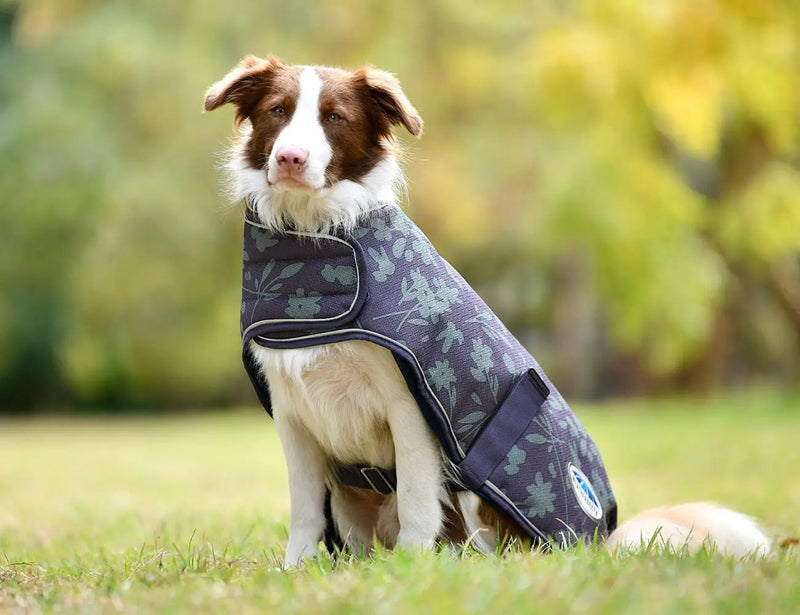 WeatherBeeta ComFiTec Premier Free Parka Dog Coat Medium by WeatherBeeta
