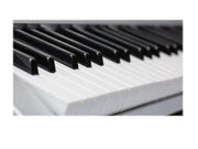 Electronic ORGAN KEYBOARD PIANO 61-Key Multi-Functional by dealonline.co.nz