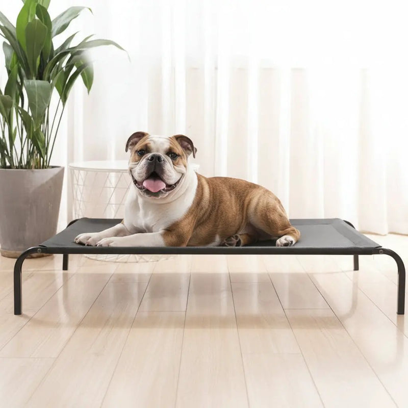 Pet Bed Dog Cat Bed Mesh Elevated Raised Indoor Sleeping Cot by dealonline.co.nz