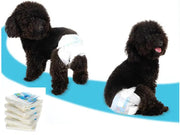 10PCS/PACK Diapers Puppy Disposable Nappy Female Dog Menstrual Sanitary Pants XL by dealonline.co.nz