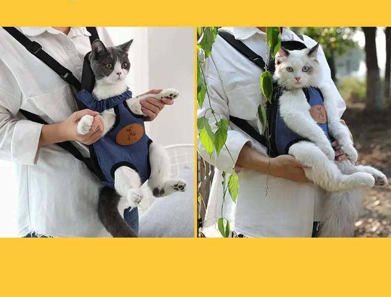 Pet/Puppy Travel Carry Bag, BLUE, L by dealonline.co.nz