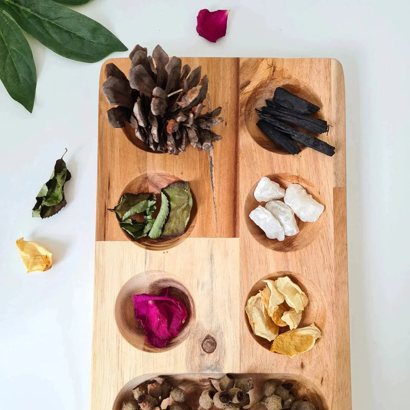 Wooden Montessori Sorting Tray - QToys | Wooden Toys NZ by Curious Moonbeam