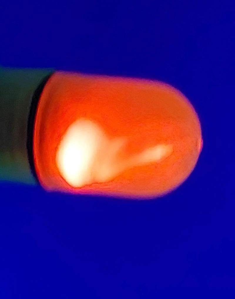 Red Lighted Fishing Bite Alarms By MeanFish by NZ Diver
