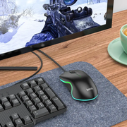 Hoco Wired Gaming Mouse RGB Ergonomic GM19 by techplus