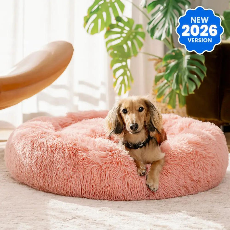 The Brooklyn Dog Beds Brooklyn® Deep Sleep Pet Bed Brooklyn Deep Sleep Calming Donut Dog Bed