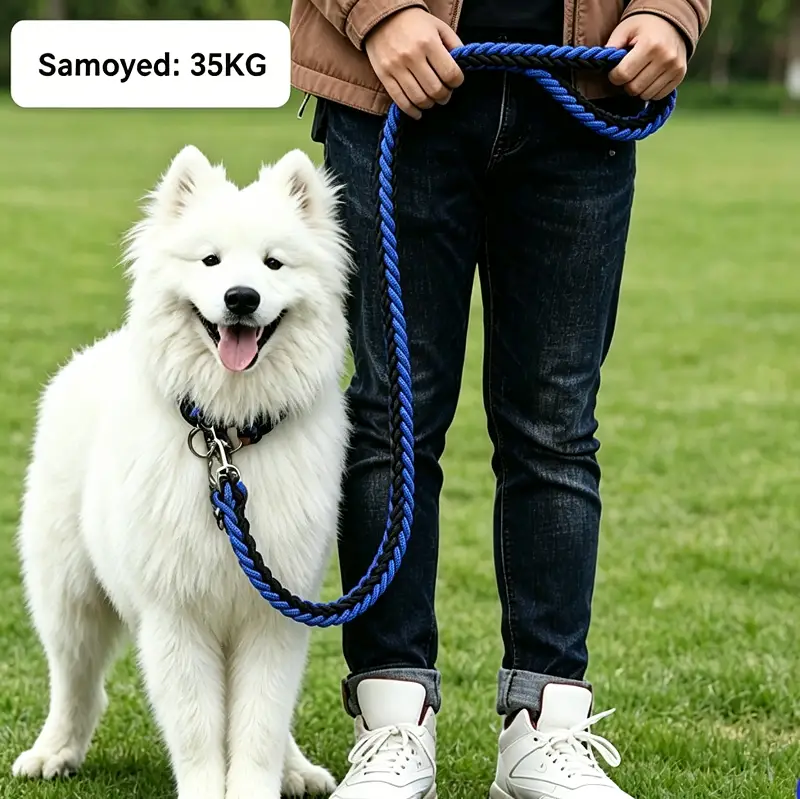 LARGE BLUE&RED Strong Dog Leash Climbing Rope Threaded Pet Training by dealonline.co.nz