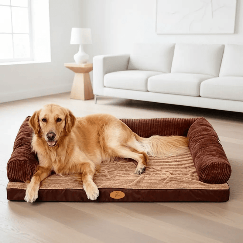 dealonline.co.nz dealonlinenz 100 x 80cm M Pet Sofa Bed with Cushioned Support 100x80cm Pet Sofa Bed With Cushioned Support