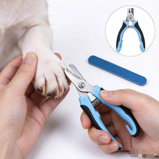 dealonline.co.nz dealonlinenz Stainless Steel Pet Nail Clipper Scissors Nail Cutter for Dogs Cats Birds Stainless Steel Pro Pet Nail Clipper Size S Pink Blue