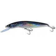 Bluewater Saury 230 Saury by Gillies