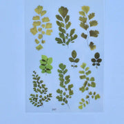 Multiple Flower Material Stickers - Sealed in Pocket Pack by Resin Art NZ