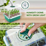 Heightened Seedling Tray Kit with Light by salelink.co.nz