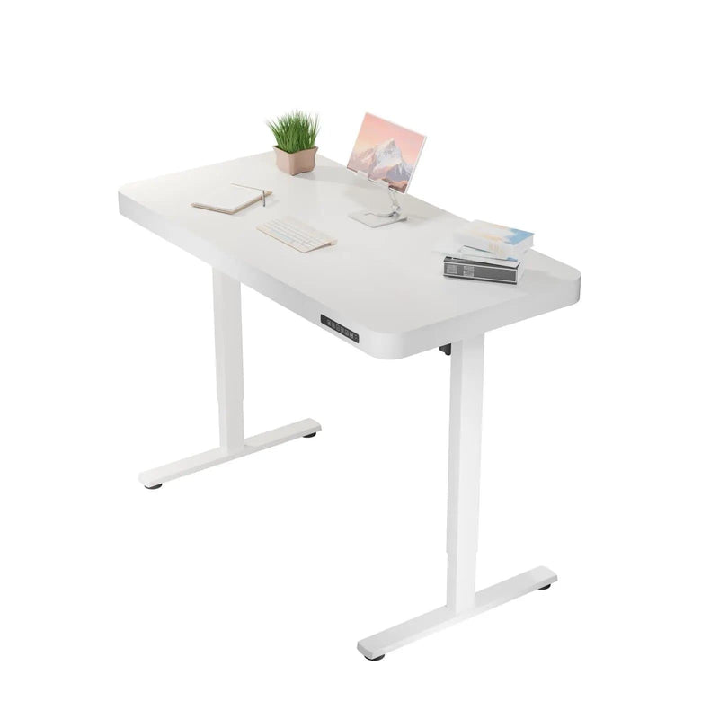 ErgoLift Single Motor Sit Stand Desk with Drawer White 1.2m by sue-e furniture